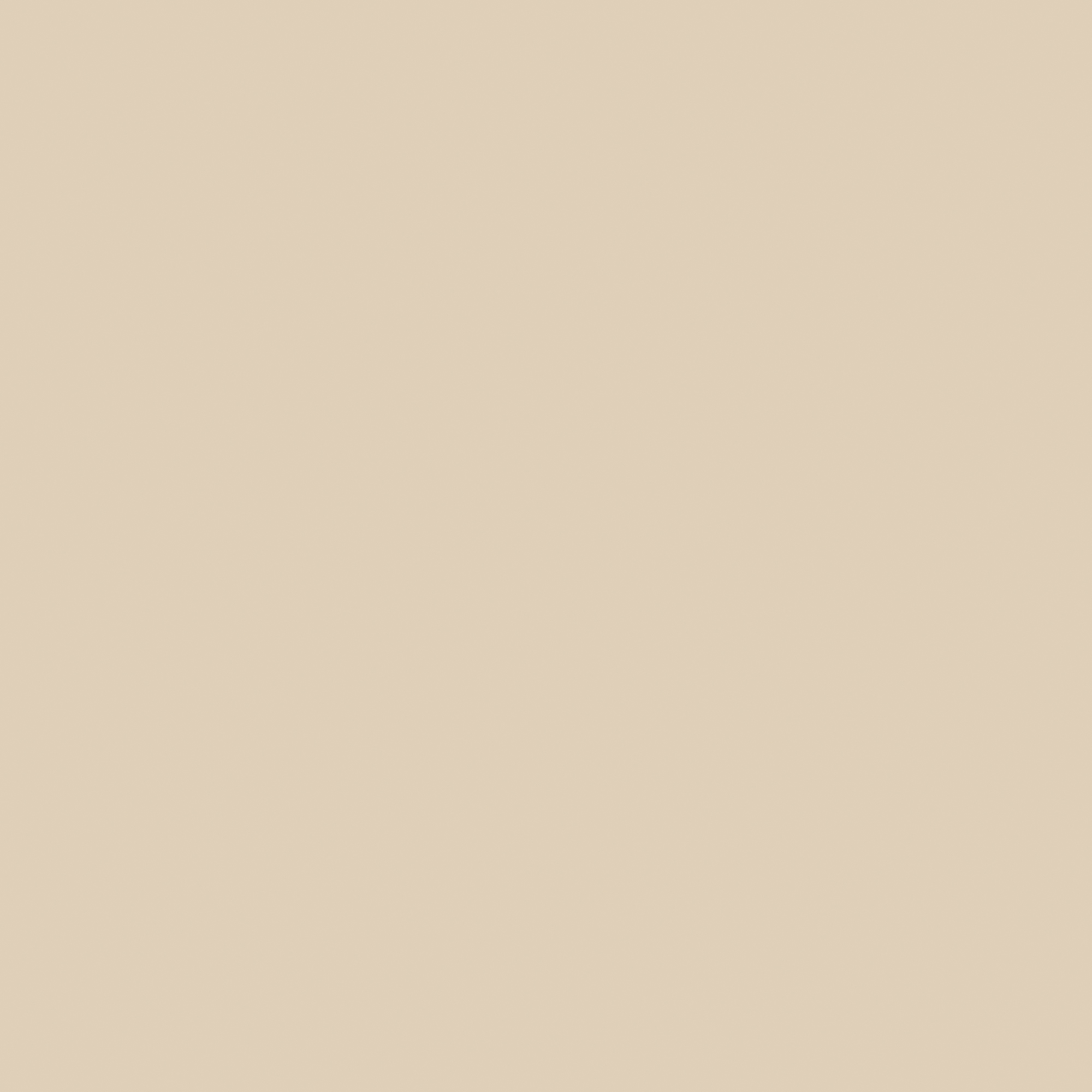 Beige satin VSR240